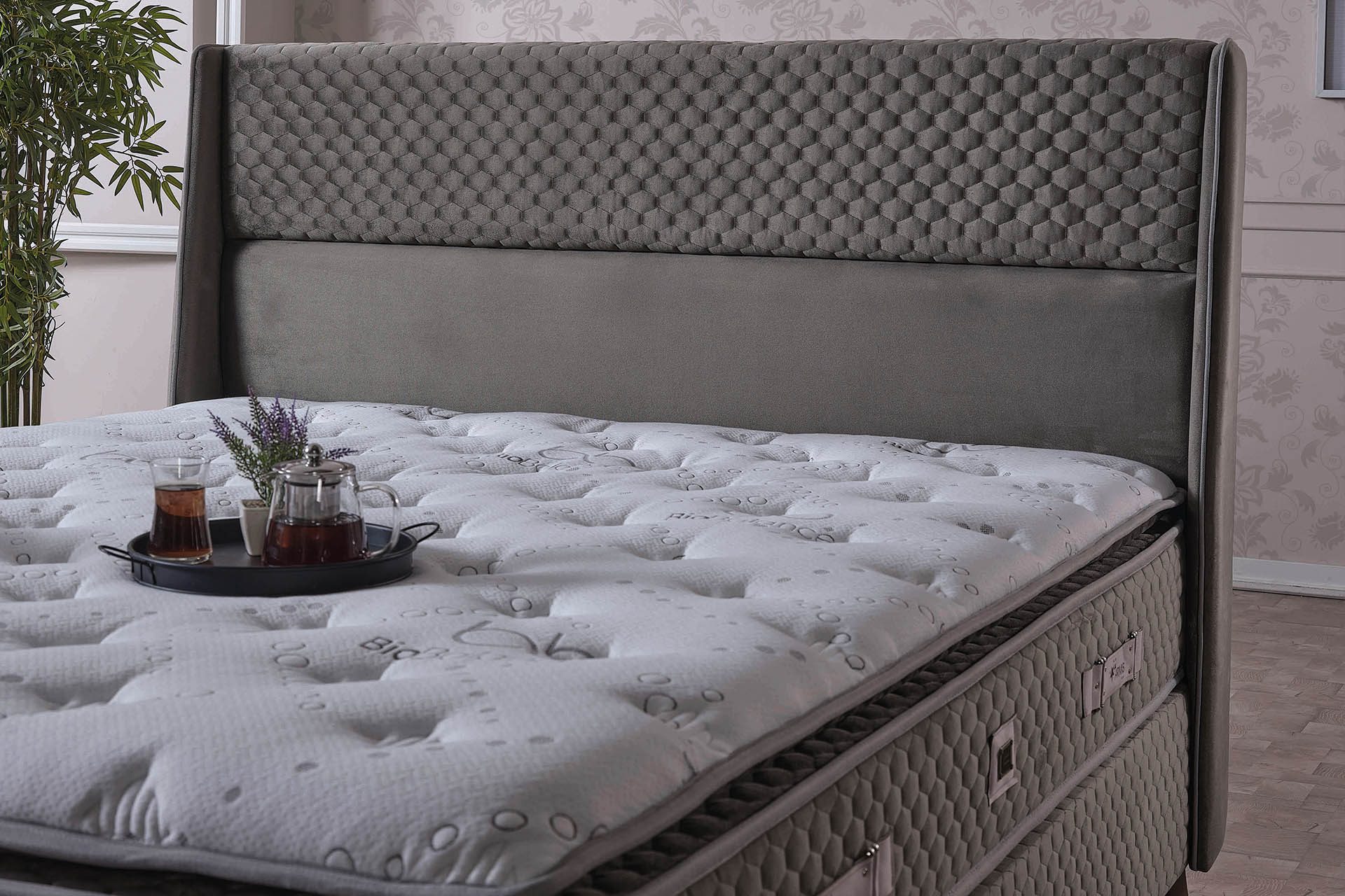 Bio%20Balance%20Baza